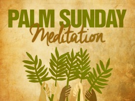 Palm Sunday Meditation